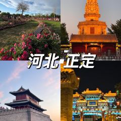 海星辰海鲜大排档(黄金海岸店) User Photo