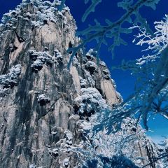 秀嫂挞粿 User Photo