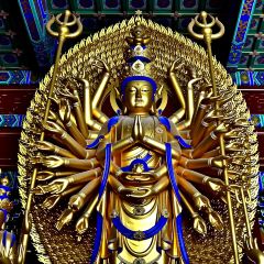 張記逍遙胡辣湯（大坑沿街店）張用戶圖片