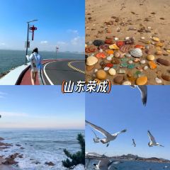 dan jia yu pai User Photo