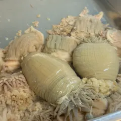 百香汇 여행 사진