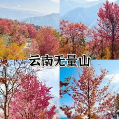 益和居·驴肉黄面(鸣山北路店) 여행 사진