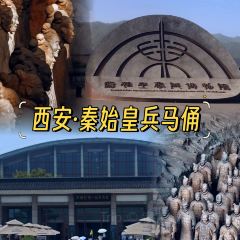 刘红杏·杏皮水店 User Photo