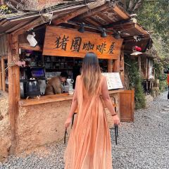 猪圈咖啡屋 User Photo