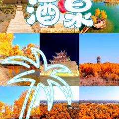 益和居·驴肉黄面(鸣山北路店) User Photo