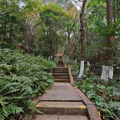 留恋人家(广汉三星堆巴蜀店) User Photo