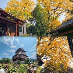 XIN SHI HUI User Photo