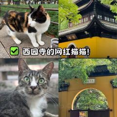 GU SU CHUAN YAN 여행 사진