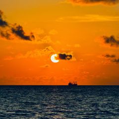 BZK·SEAFOOD User Photo