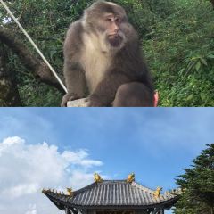 QING LI FAN DIAN User Photo
