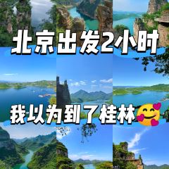 灶台鱼(自强街总店) User Photo