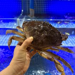 Ms·lin Sea Food User Photo