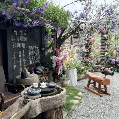幽兰落 User Photo