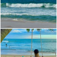 dan jia yu pai User Photo