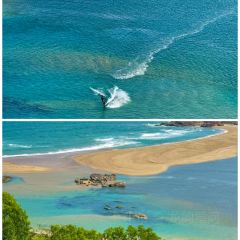 dan jia yu pai User Photo