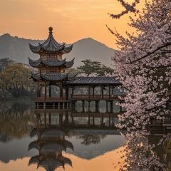 XIAO BEI JIANG HE XIAN User Photo