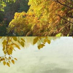 铁锅年代(天台店) 여행 사진