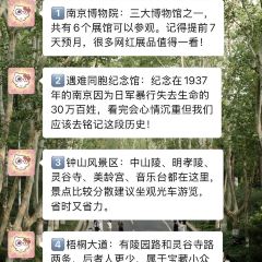 火山屋台·線食（新街口店）張用戶圖片