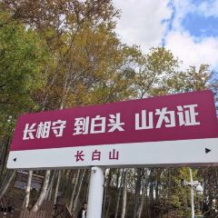 YNN User Photo