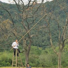 诸暨正宗次坞打面(人民西路店) User Photo