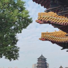 XIAO LIANG YUAN User Photo