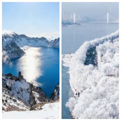 Shunji Traditional Cold Noodles User Photo