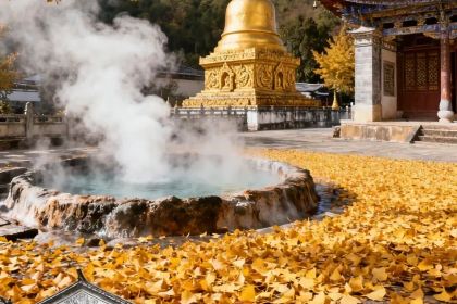 鸟鸣涧野生菌森林餐厅