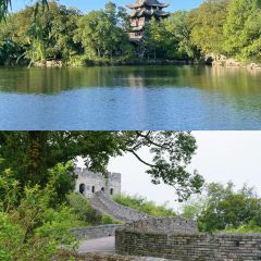 王天顺海苔饼 User Photo