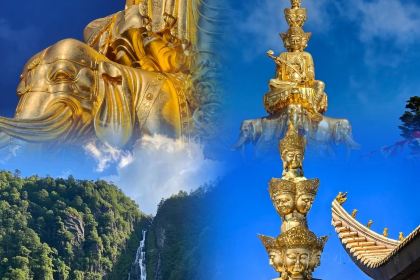 光头烧烤(绥山东路南二街店)