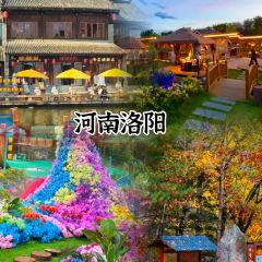 颍阳水席(登封店) User Photo