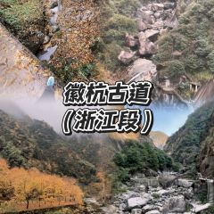 LIN SHANG REN JIA User Photo