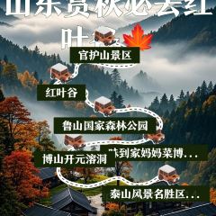 WEIDAOJIA MAMACAI User Photo