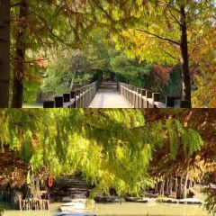 铁锅年代(天台店) 여행 사진