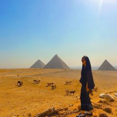 Queen Cleopatra Restaurant & Coffee User Photo