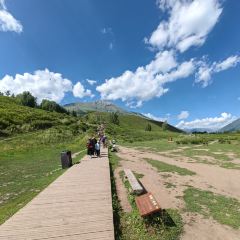 禾木老村山庄 User Photo