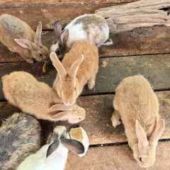 一尺稻田咖啡 User Photo