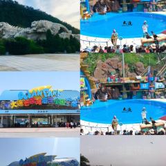 ROYAL OCEAN User Photo