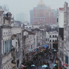 SNT&TEA 여행 사진