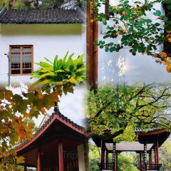 兰姐海鲜平价海鲜·南通土菜(桃坞路店) User Photo