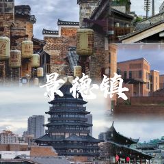 陶姐冷粉張用戶圖片