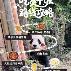 YING ZI YOU ZHA User Photo