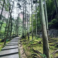 岭上人家鄉情阁烤全羊張用戶圖片