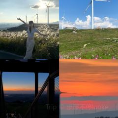 Liu Guang Men Mao Auntie Nuo Rice User Photo