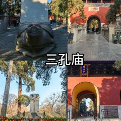 WEIDAOJIA MAMACAI User Photo