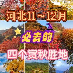 白家缸炉烧饼 User Photo