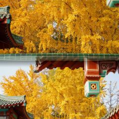 秦记火烧 User Photo