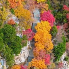 WEIDAOJIA MAMACAI User Photo