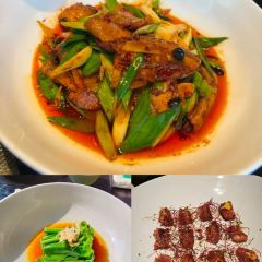 Camellia & Seasons 여행 사진