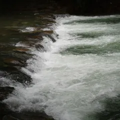 翠翠油茶坊(灵川店) User Photo