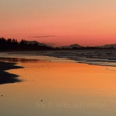 BZK·SEAFOOD User Photo